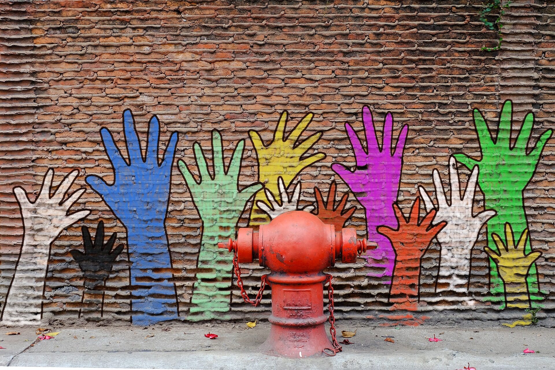 hand-5040992_1920 hand-5040992_1920